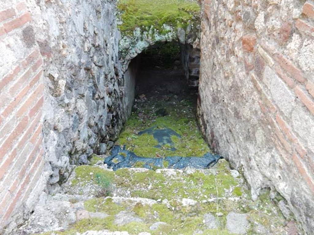 IX.3.5 Pompeii. May 2015. Room 24, steps to lower level. Photo courtesy of Buzz Ferebee.

