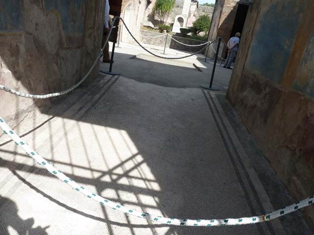 IX.3.5 Pompeii. September 2015. Looking east along mosaic floor in entrance corridor.