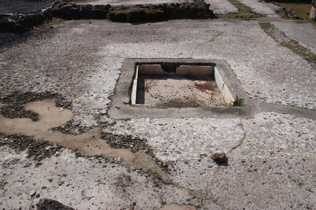 IX.3.22 Pompeii. October 2022. Looking west towards impluvium in atrium. Photo courtesy of Klaus Heese. 