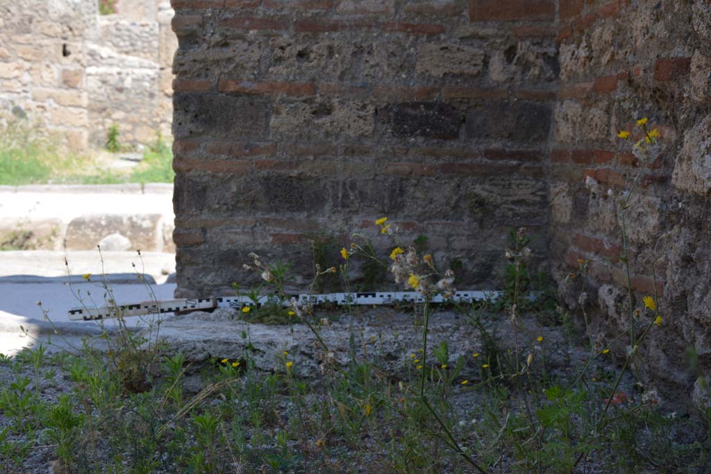 IX.5.1 Pompeii. May 2017. Looking towards lower north wall in north-east corner and detail of its base.
Foto Christian Beck, ERC Grant 681269 DÉCOR.

