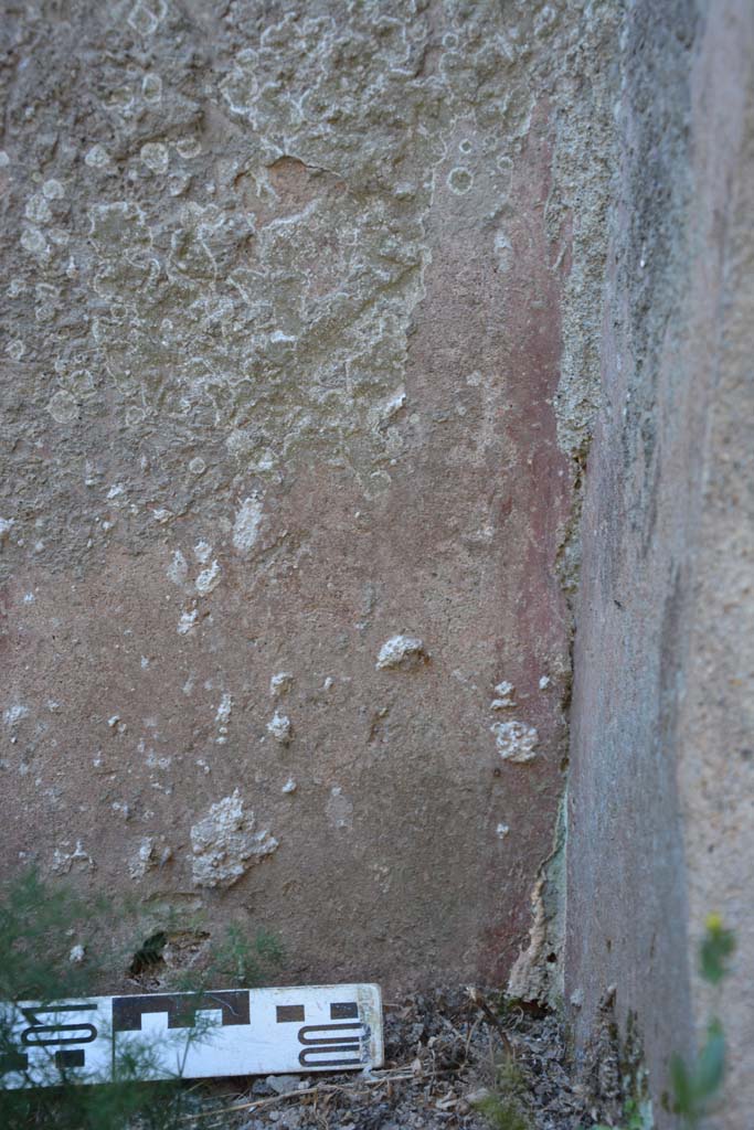 IX.5.1 Pompeii. May 2017. Detail from lower south wall in south-west corner.  
Foto Christian Beck, ERC Grant 681269 DÉCOR.
