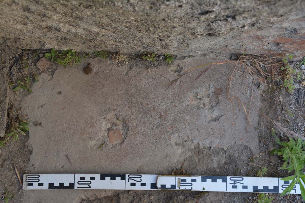 IX.5.2 Pompeii. May 2017. Room L, detail of flooring at north end of west side, looking north.
Foto Christian Beck, ERC Grant 681269 DCOR.

