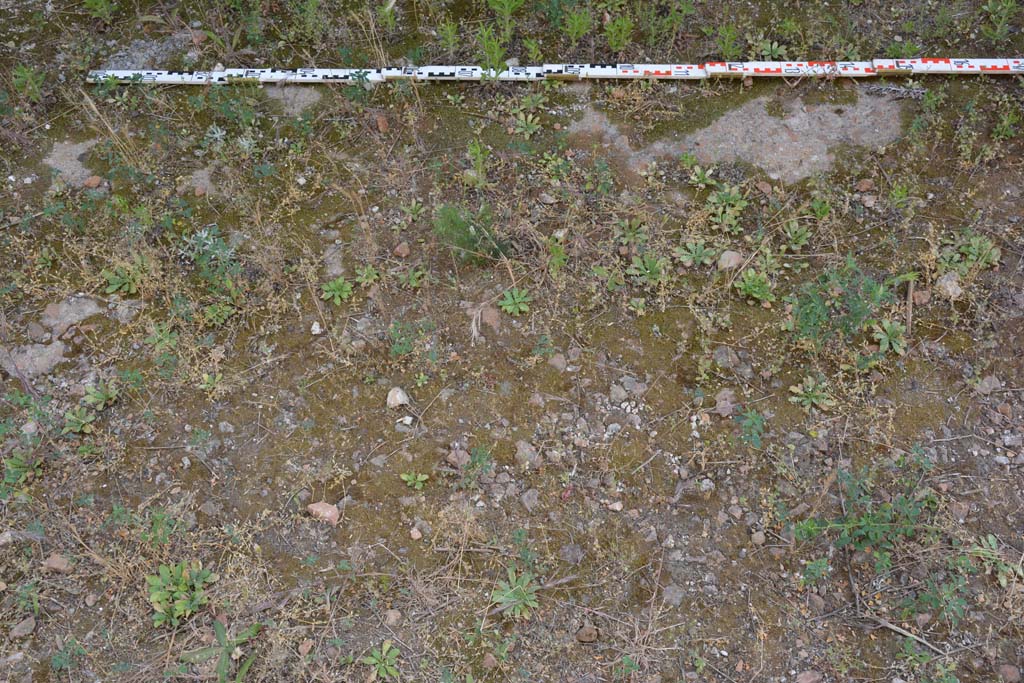 IX.5.2 Pompeii. March 2017. Room L, flooring from near west wall.
Foto Christian Beck, ERC Grant 681269 DCOR.
