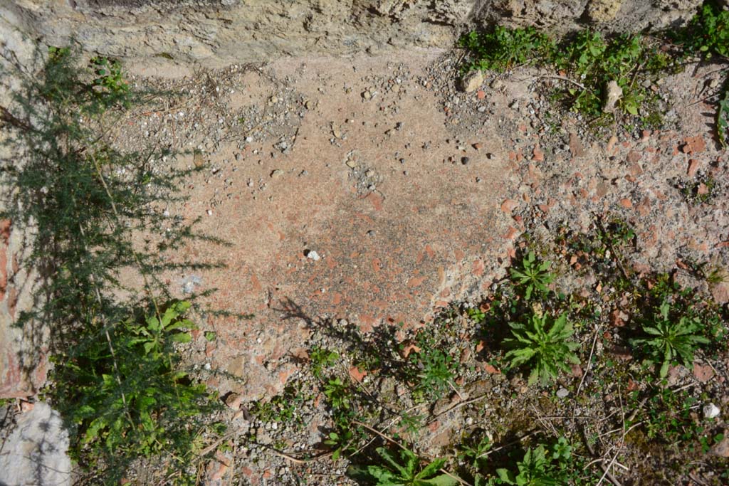 IX.5.2 Pompeii. March 2017. Room L, remaining flooring near east wall.
Foto Christian Beck, ERC Grant 681269 DCOR.

