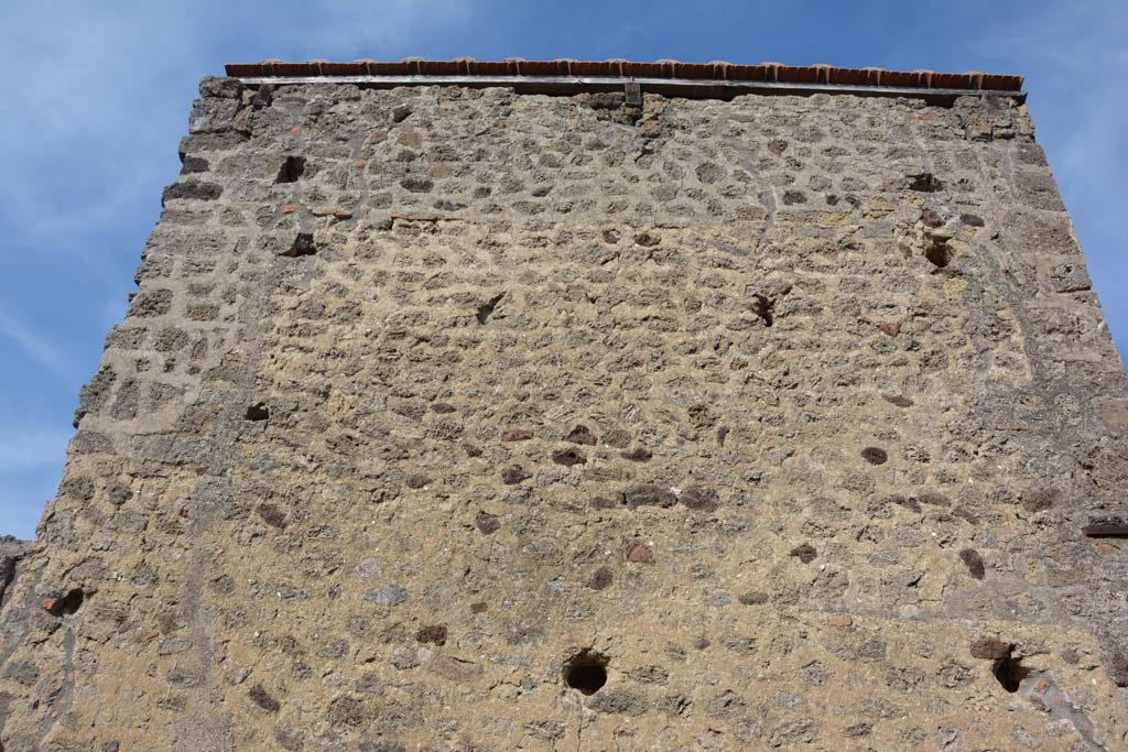 IX.5.2 Pompeii. May 2017. Room L, upper east wall.
Foto Christian Beck, ERC Grant 681269 DCOR.
