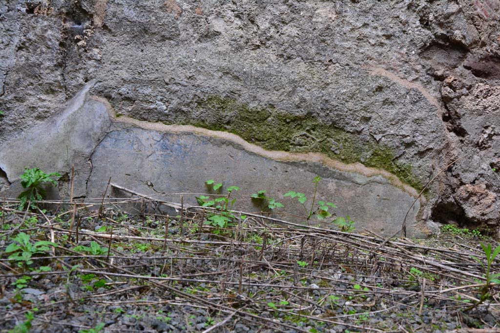 IX.5.2 Pompeii. March 2017. Room n, detail from lower north wall.
Foto Christian Beck, ERC Grant 681269 DCOR.
