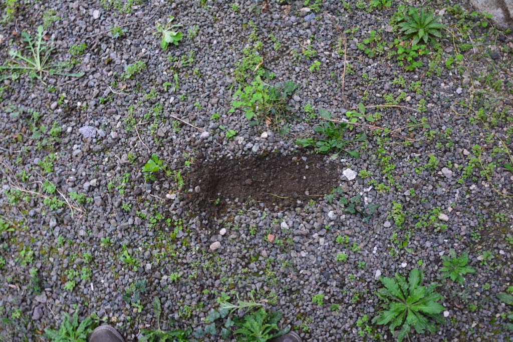 IX.5.2 Pompeii. March 2017. Room r, floor.
Foto Christian Beck, ERC Grant 681269 DCOR.
