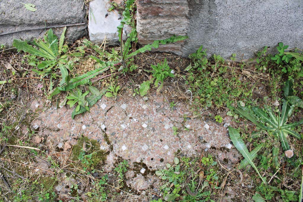 IX.5.2 Pompeii. May 2019. Room ‘i’, decorative floor.
Foto Christian Beck, ERC Grant 681269 DÉCOR.
