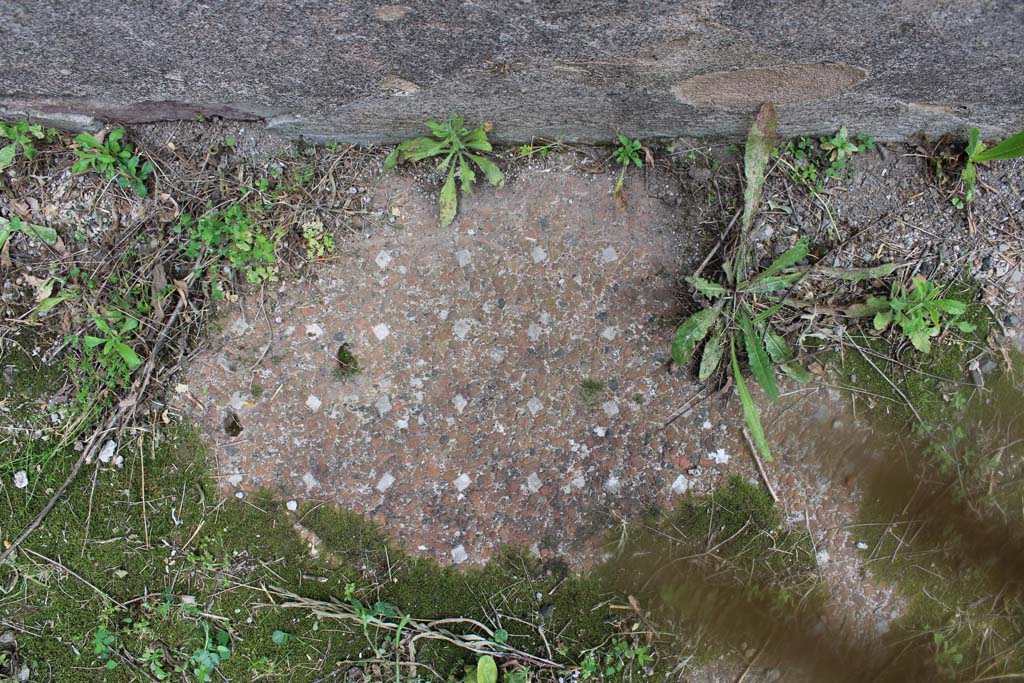 IX.5.2 Pompeii. May 2019. Room ‘i’, decorative floor.
Foto Christian Beck, ERC Grant 681269 DÉCOR.
