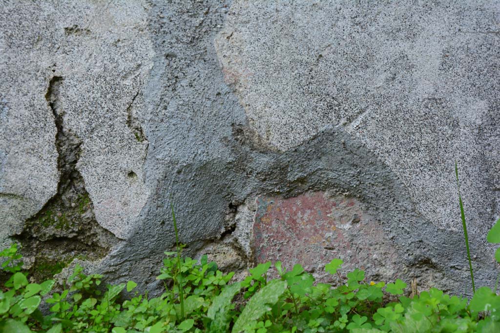 IX.5.2 Pompeii. March 2017. Room ‘i’, detail from lower east wall.
Foto Christian Beck, ERC Grant 681269 DÉCOR.

