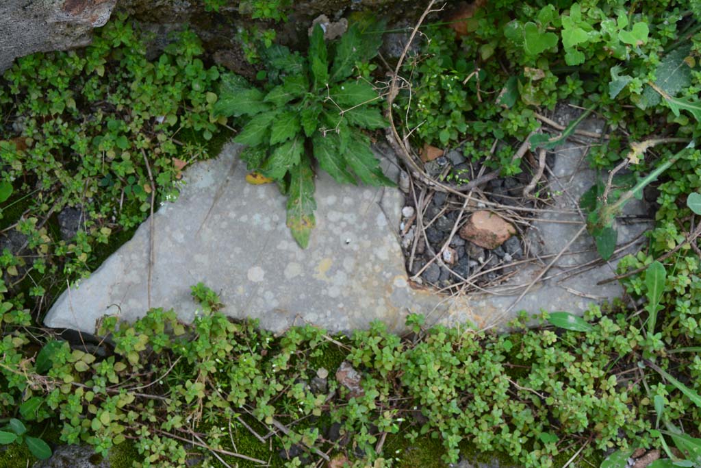 IX.5.2 Pompeii. March 2017. Room ‘i’, detail of doorway threshold at west end, with hole for doorpost. 
Foto Christian Beck, ERC Grant 681269 DÉCOR.


