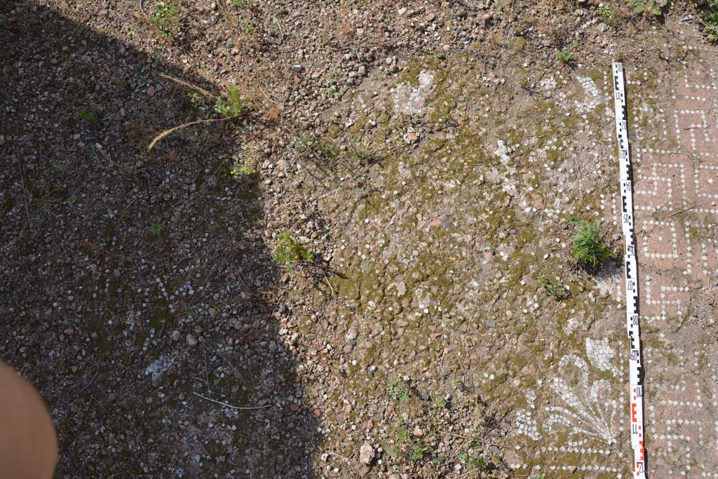 IX.5.2 Pompeii. May 2017. Room k, detail of flooring, looking north on east side..
Foto Christian Beck, ERC Grant 681269 DCOR.

