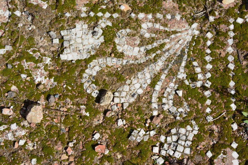 IX.5.2 Pompeii. March 2017. Room k, detail from east side of tablinum.
Foto Christian Beck, ERC Grant 681269 DCOR.
