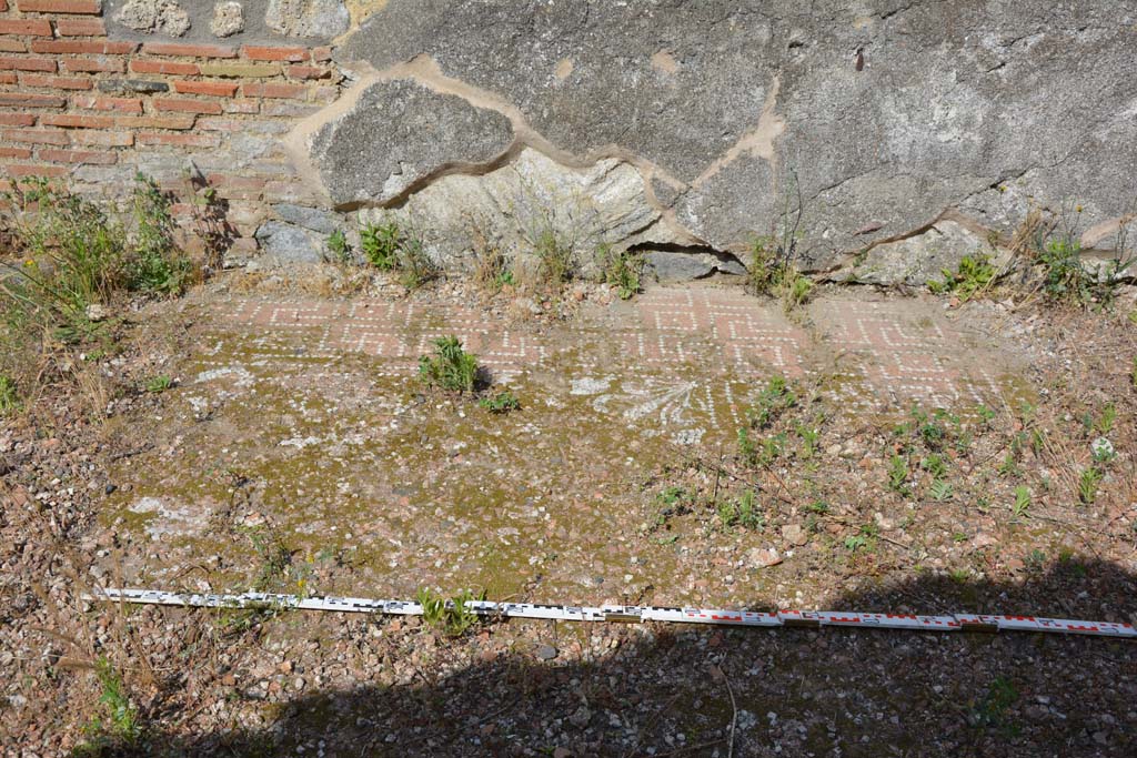 IX.5.2 Pompeii. May 2017. Room k, detail of flooring looking towards east wall.
Foto Christian Beck, ERC Grant 681269 DCOR.

