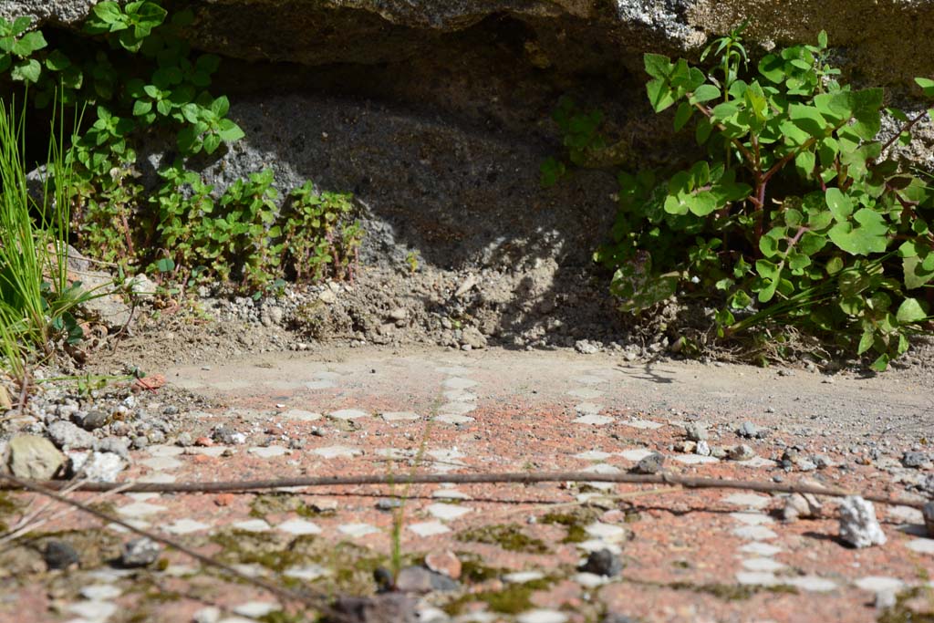 IX.5.2 Pompeii. March 2017. Room k, detail from east side of tablinum.
Foto Christian Beck, ERC Grant 681269 DCOR.
