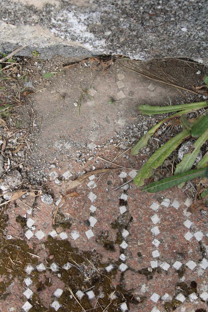 IX.5.2 Pompeii. May 2019. Room k, meanders.
Foto Christian Beck, ERC Grant 681269 DCOR.
