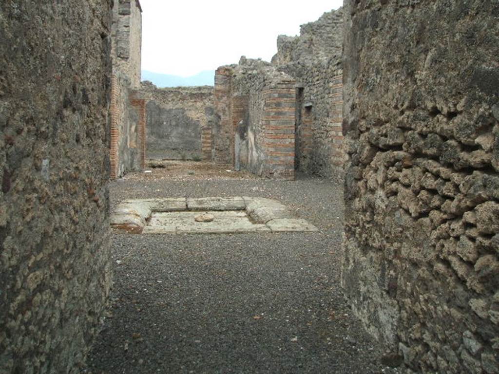 IX.5.2.  Looking across Atrium and impluvium from entrance corridor.