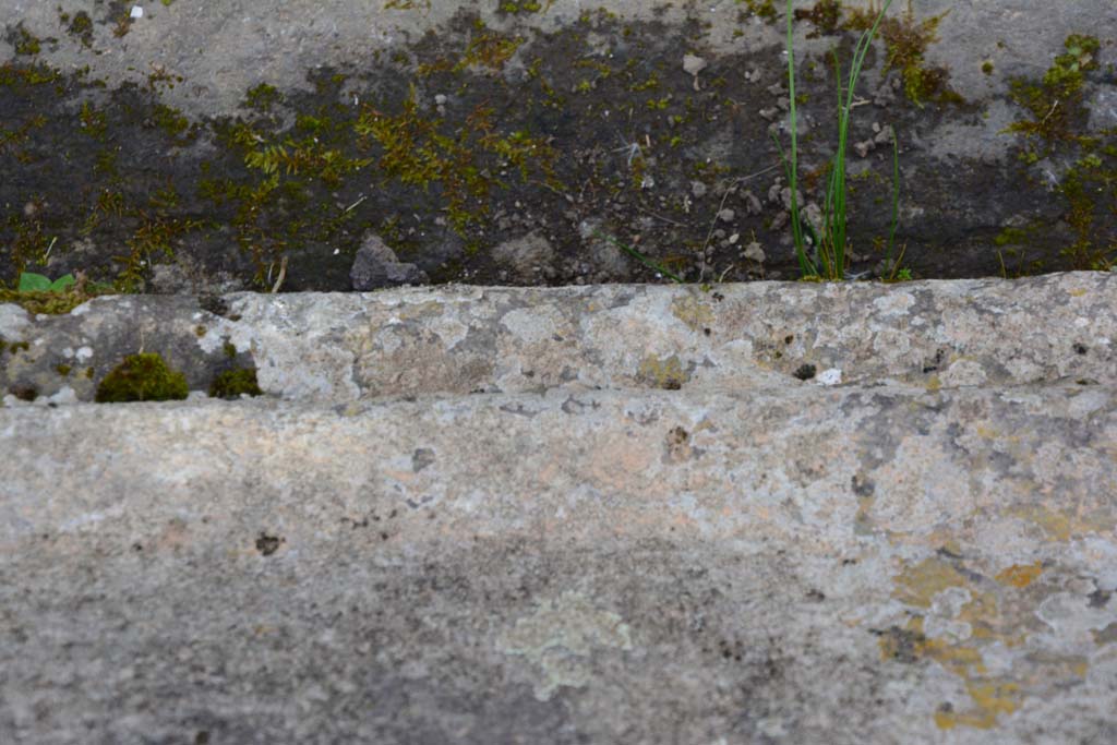 IX.5.2 Pompeii. March 2017. Room ‘b’, detail from east side of impluvium.
Foto Christian Beck, ERC Grant 681269 DÉCOR.
