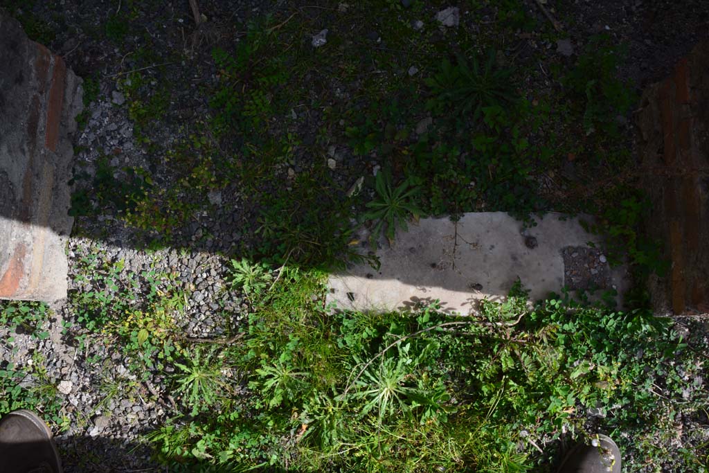 IX.5.2 Pompeii. March 2017. Room ‘d’, threshold of doorway.
Foto Christian Beck, ERC Grant 681269 DÉCOR.
