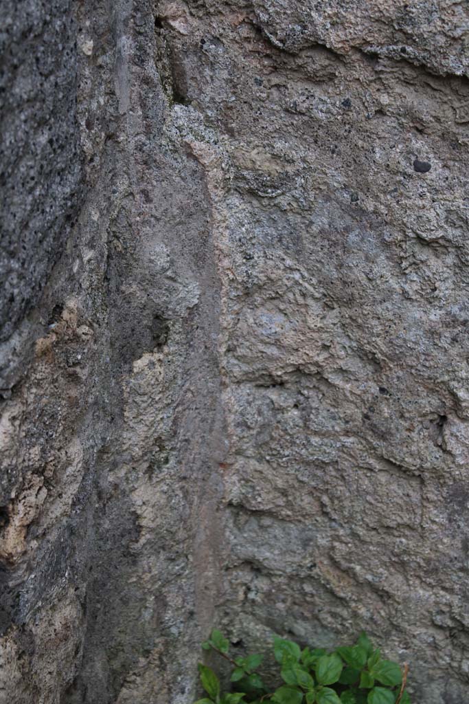 IX.5.4 Pompeii. March 2019. Room d, lower south-east corner.
Foto Christian Beck, ERC Grant 681269 DCOR.
