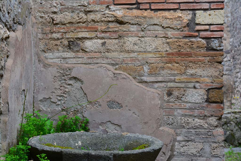 IX.5.4 Pompeii. March 2017. Room d, north wall in north-west corner.
Foto Christian Beck, ERC Grant 681269 DCOR.
