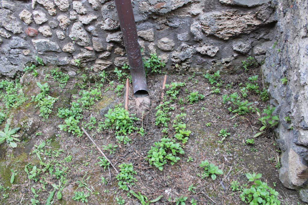 IX.5.4 Pompeii. March 2019. Room e, detail from lower west wall.
Foto Christian Beck, ERC Grant 681269 DCOR.
