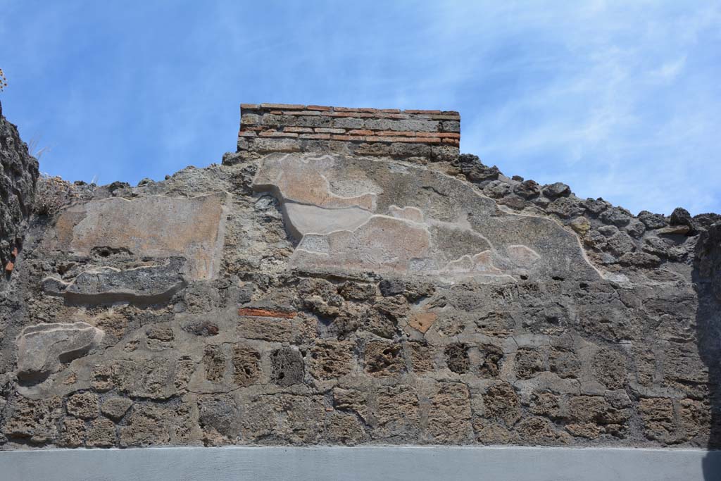 IX.5.5 Pompeii. May 2017. Detail from upper north wall.
Foto Christian Beck, ERC Grant 681269 DÉCOR.

