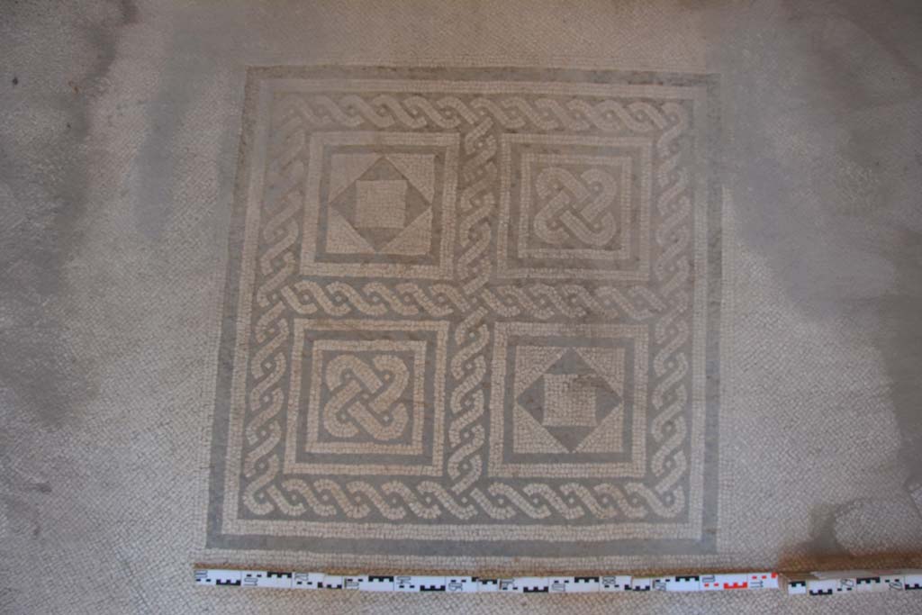 IX.5.6 Pompeii. May 2017. Room i, central emblema in mosaic floor in tablinum, looking south from doorway with atrium.
Foto Christian Beck, ERC Grant 681269 DÉCOR.
