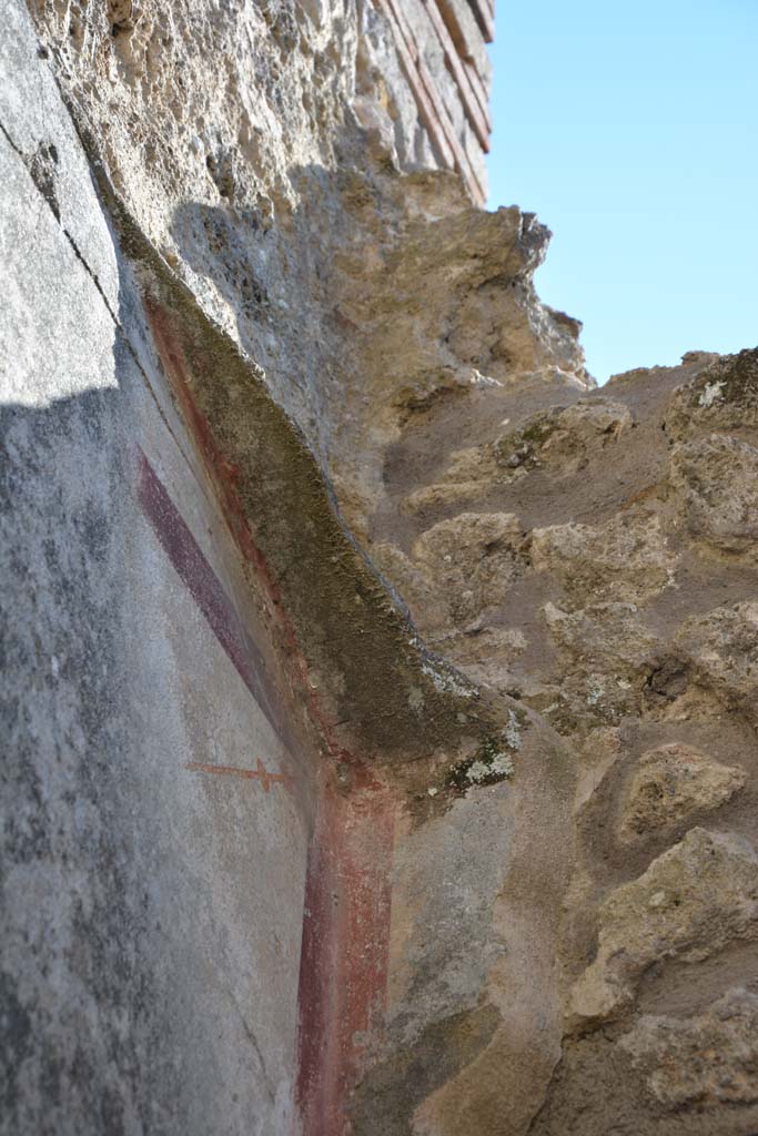 IX.5.6 Pompeii. May 2017. Room o, detail of upper south-west corner. 
Foto Christian Beck, ERC Grant 681269 DCOR.

