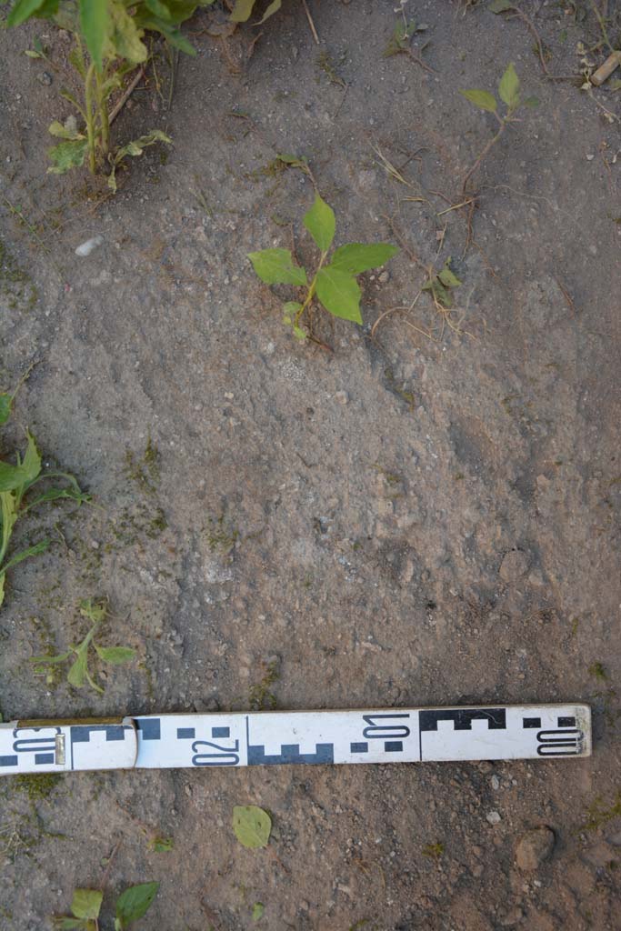 IX.5.6 Pompeii. May 2017. Room s, flooring.
Foto Christian Beck, ERC Grant 681269 DCOR.
