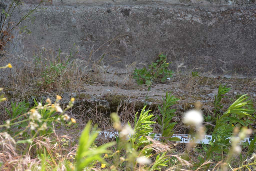 IX.5.6/17 Pompeii. May 2017. Room u, detail from exterior south-east corner of garden area.
Foto Christian Beck, ERC Grant 681269 DÉCOR
