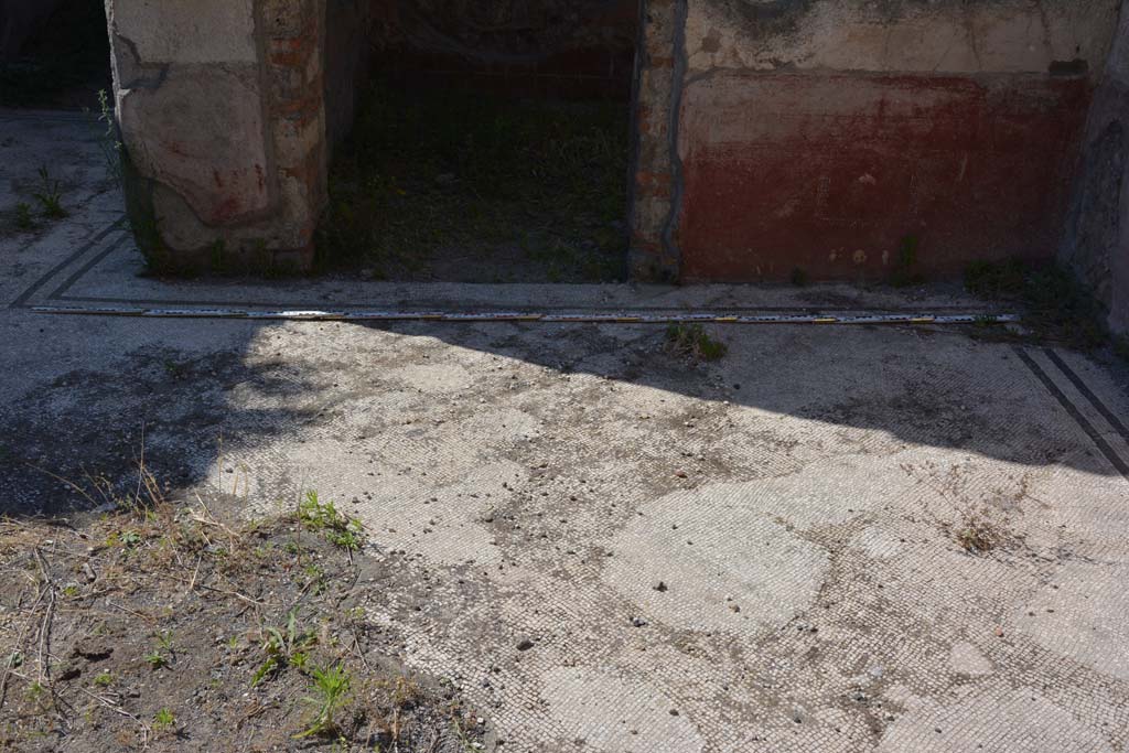 IX.5.6 Pompeii. May 2017. East ala e, looking north across flooring.
Foto Christian Beck, ERC Grant 681269 DCOR.

