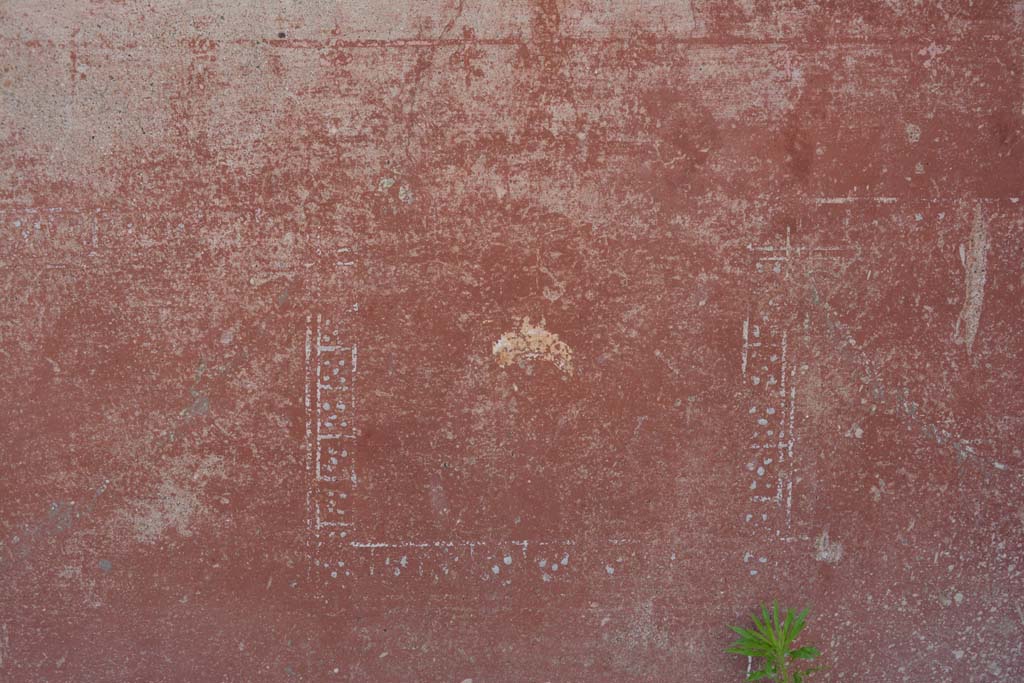 IX.5.6 Pompeii. May 2017. East ala e, detail from zoccolo on north wall at east end.
Foto Christian Beck, ERC Grant 681269 DCOR.
