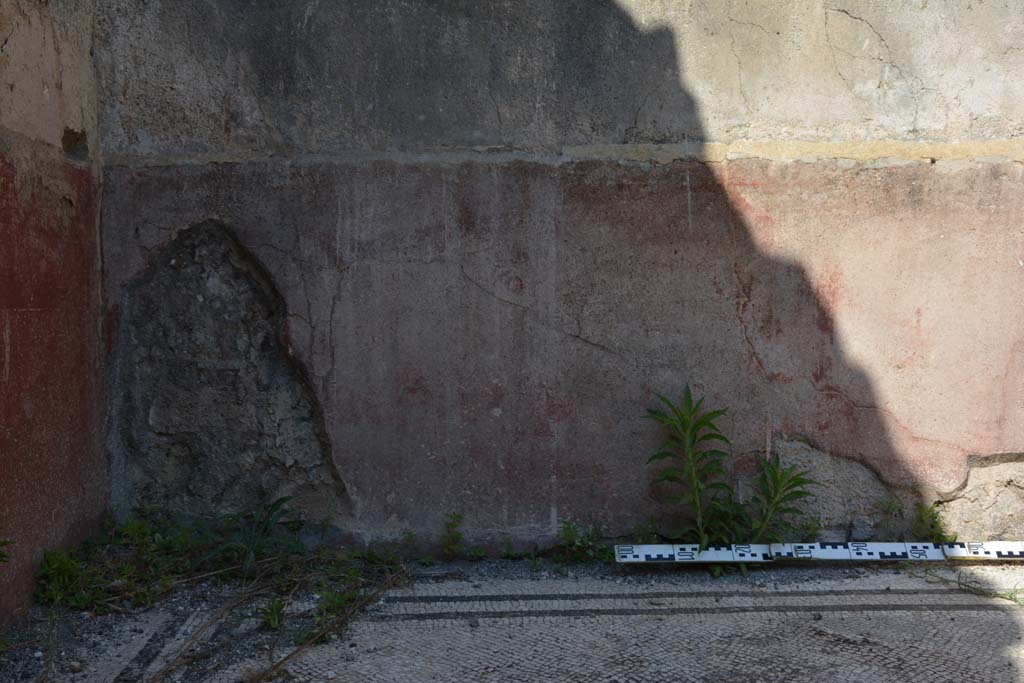 IX.5.6 Pompeii. May 2017. East ala e, zoccolo at north end of east wall 
Foto Christian Beck, ERC Grant 681269 DCOR.
