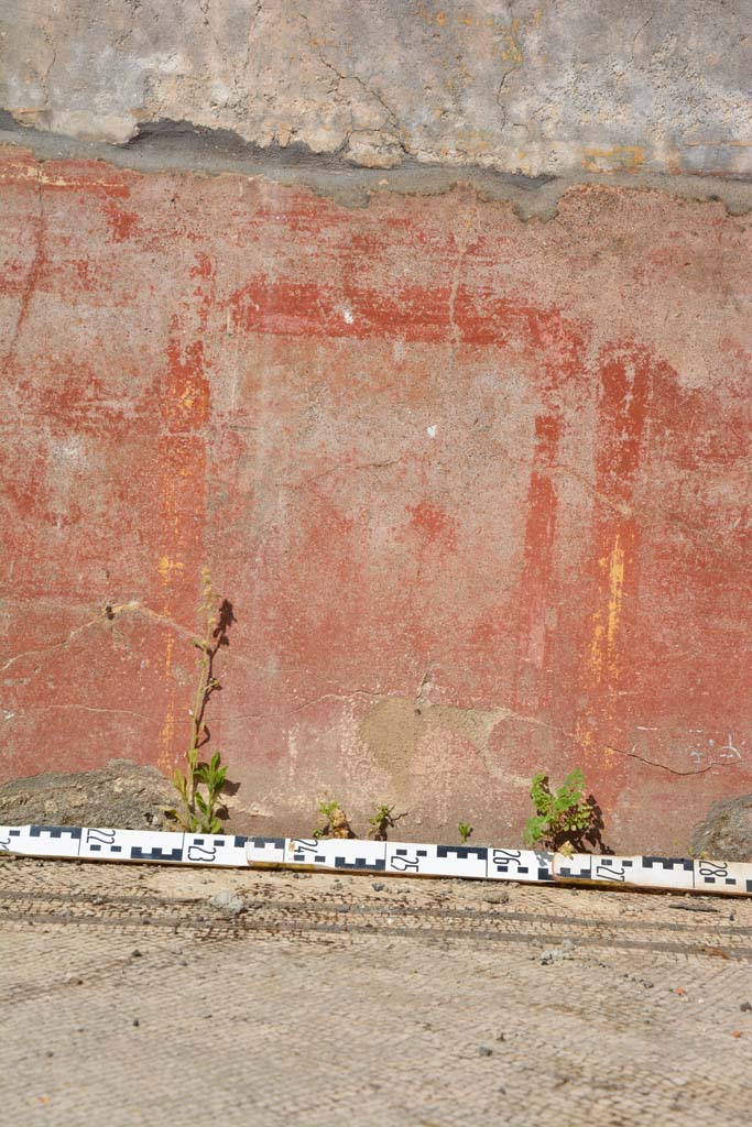 IX.5.6 Pompeii. May 2017. East ala e, detail of compartment of zoccolo on east wall 
Foto Christian Beck, ERC Grant 681269 DCOR.
