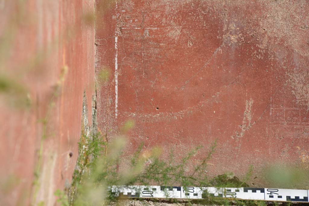 IX.5.6 Pompeii. May 2017. East ala e, detail of zoccolo on south wall at east end.
Foto Christian Beck, ERC Grant 681269 DCOR.
