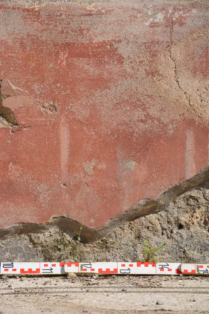 IX.5.6 Pompeii. May 2017. East ala e, detail of zoccolo in centre of south wall. 
Foto Christian Beck, ERC Grant 681269 DCOR.
