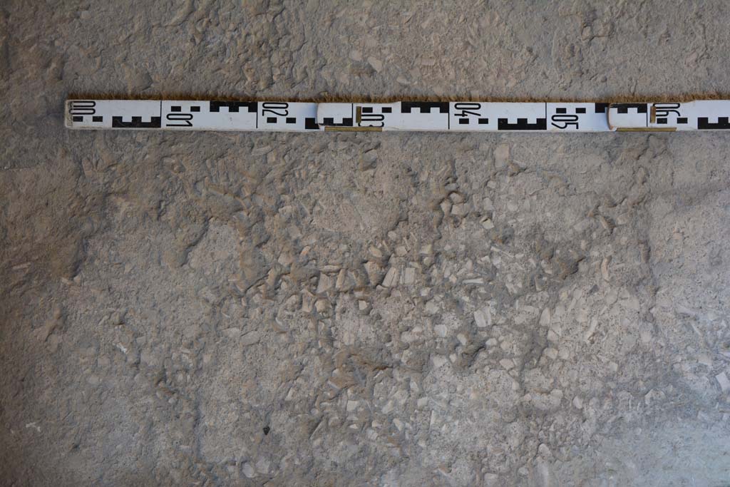 IX.5.6 Pompeii. May 2017. Room g, flooring. 
Foto Christian Beck, ERC Grant 681269 DCOR.

