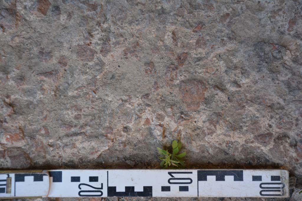 IX.5.6 Pompeii. May 2017. Room l (L), detail of flooring. 
Foto Christian Beck, ERC Grant 681269 DCOR.

