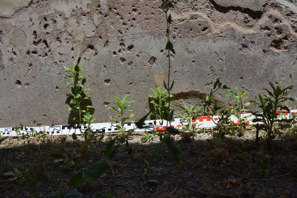 IX.5.6 Pompeii. May 2017. Room a, continuation south of lower east wall.
Foto Christian Beck, ERC Grant 681269 DÉCOR.
