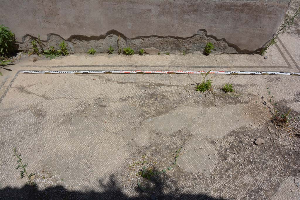 IX.5.6 Pompeii. May 2017. Room a, looking towards lower east wall.
Foto Christian Beck, ERC Grant 681269 DÉCOR.
