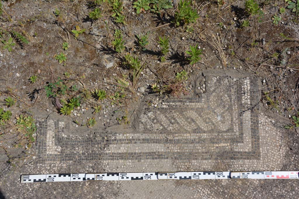 IX.5.6 Pompeii. May 2017. Atrium c, detail from impluvium border. 
Foto Christian Beck, ERC Grant 681269 DÉCOR.

