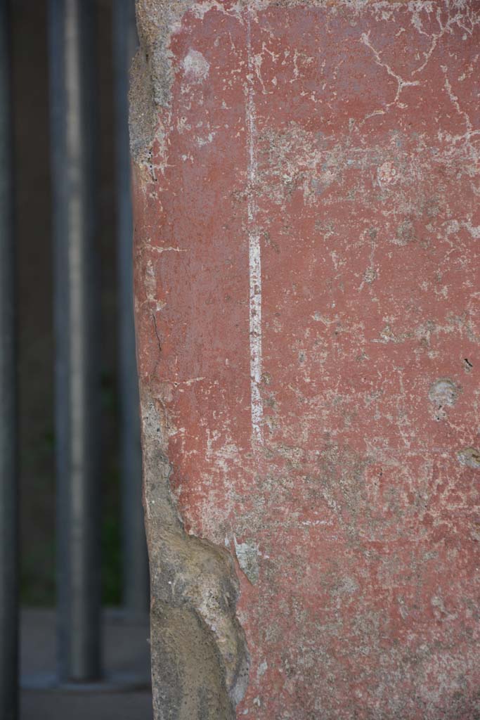 IX.5.6 Pompeii. May 2017. 
Area c’, detail of zoccolo on pilaster on south side of doorway to room h.
Foto Christian Beck, ERC Grant 681269 DÉCOR.
