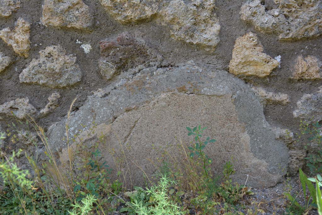 IX.5.7 Pompeii. May 2017. Detail from lower east wall.
Foto Christian Beck, ERC Grant 681269 DCOR.
