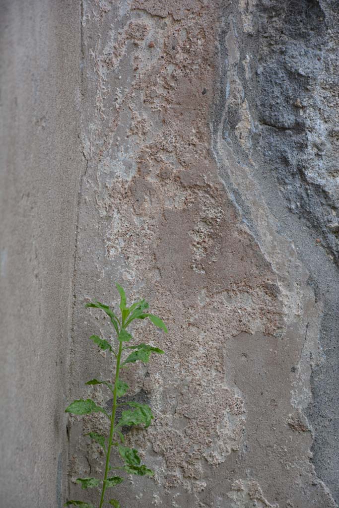 IX.5.8 Pompeii. May 2017. Detail from remaining stucco on west wall at south end.
Foto Christian Beck, ERC Grant 681269 DCOR.
