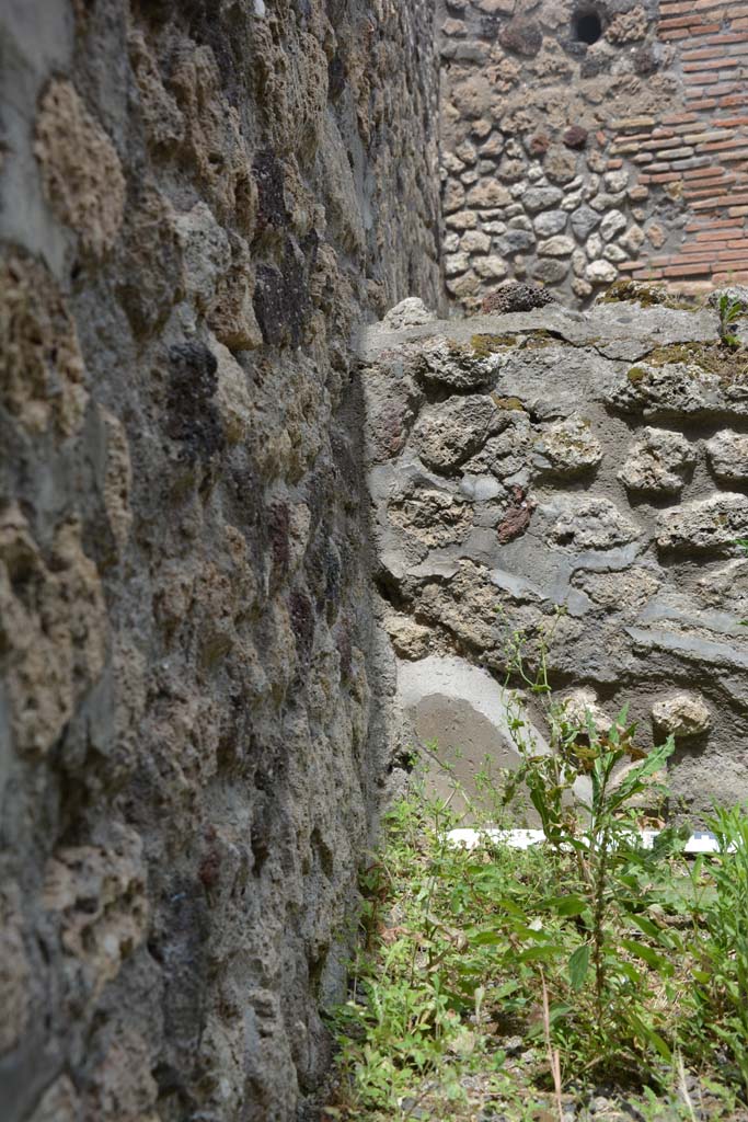 IX.5.8 Pompeii. May 2017. Detail from wall in north-west corner.
Foto Christian Beck, ERC Grant 681269 DCOR.
