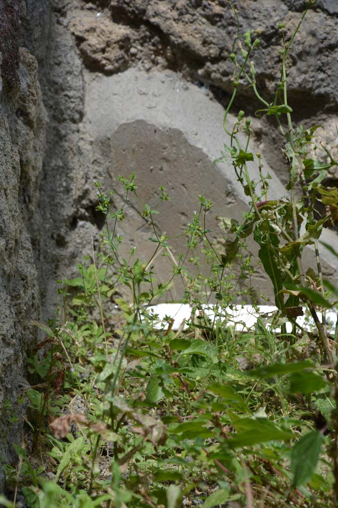 IX.5.8 Pompeii. May 2017. Detail of remaining plaster from wall in north-west corner.
Foto Christian Beck, ERC Grant 681269 DCOR.
