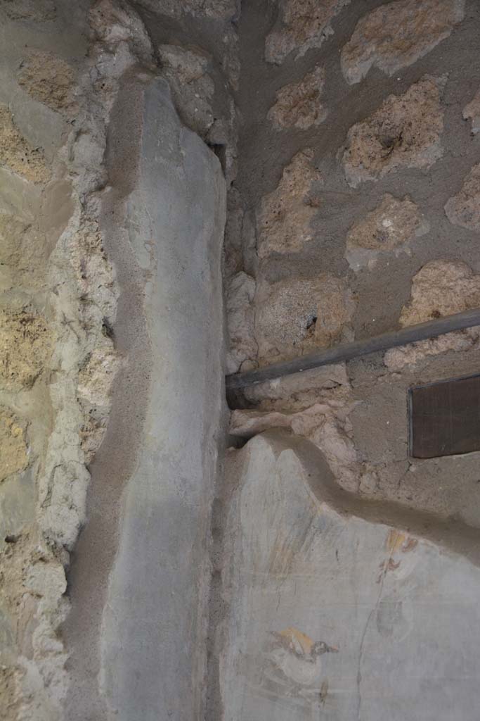 IX.5.9 Pompeii. May 2017. Room l (L), upper north-east corner.
Foto Christian Beck, ERC Grant 681269 DCOR.
