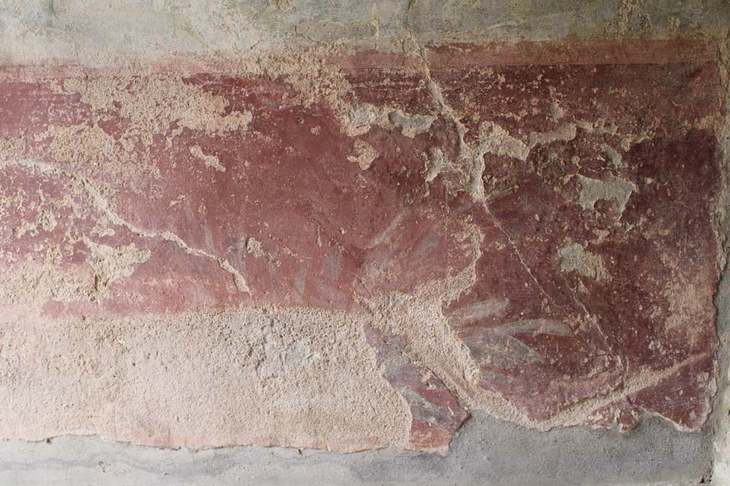 IX.5.9 Pompeii. May 2019. Room l (L), detail of zoccolo with painted plants at west end of south wall.  
Foto Christian Beck, ERC Grant 681269 DCOR.
