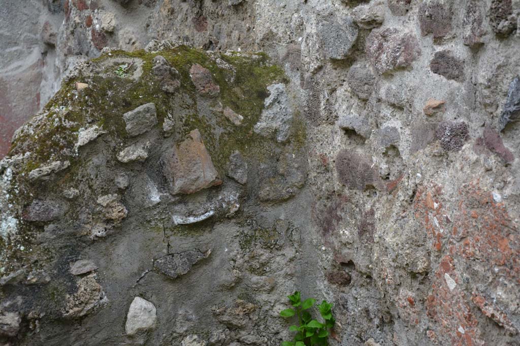 IX.5.9 Pompeii. March 2017. Room n, looking south towards detail of dividing wall.  
Foto Christian Beck, ERC Grant 681269 DCOR.
